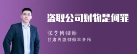 盗取公司财物是何罪