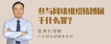 参与网络组织赌博属于什么罪？