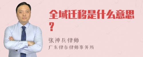 全域迁移是什么意思?