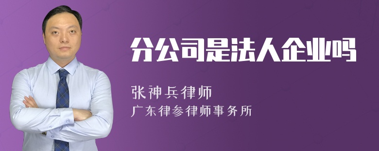 分公司是法人企业吗