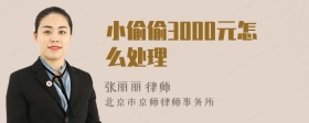 小偷偷3000元怎么处理