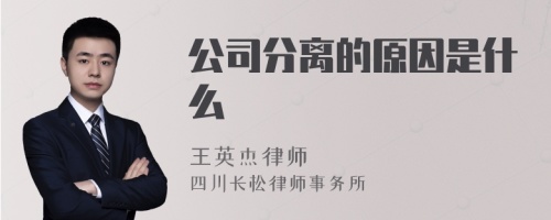 公司分离的原因是什么