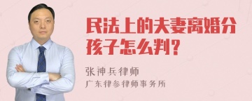 民法上的夫妻离婚分孩子怎么判？