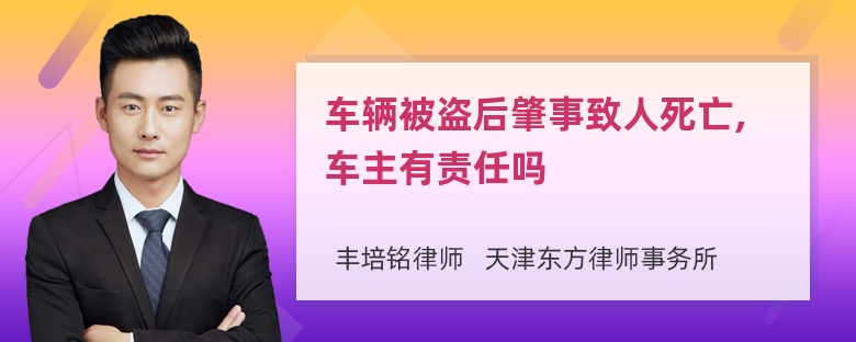 车辆被盗后肇事致人死亡,车主有责任吗