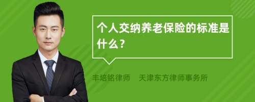 个人交纳养老保险的标准是什么？