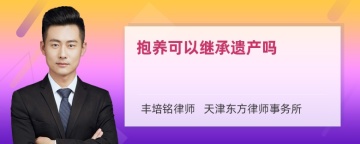 抱养可以继承遗产吗