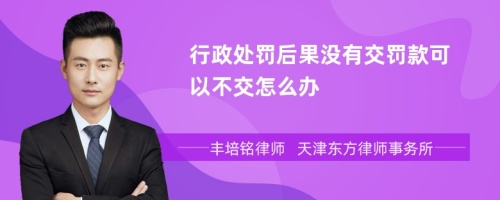 行政处罚后果没有交罚款可以不交怎么办