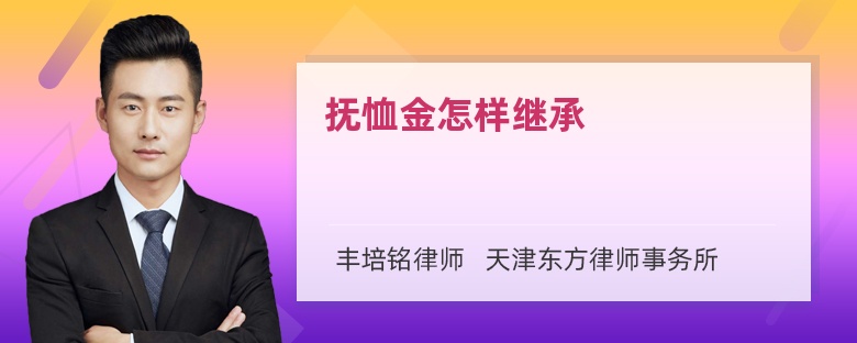 抚恤金怎样继承