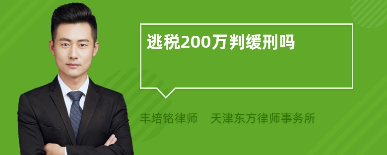 逃税200万判缓刑吗