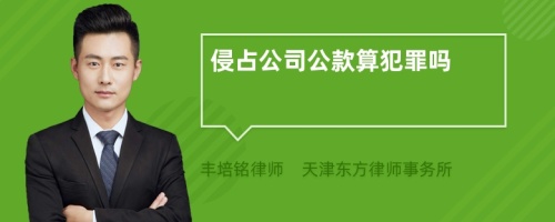 侵占公司公款算犯罪吗