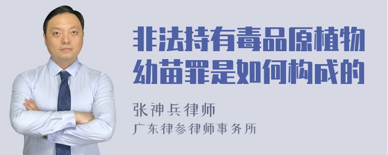 非法持有毒品原植物幼苗罪是如何构成的