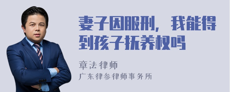 妻子因服刑，我能得到孩子抚养权吗