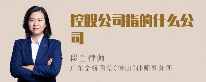 控股公司指的什么公司