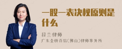 一股一表决权原则是什么