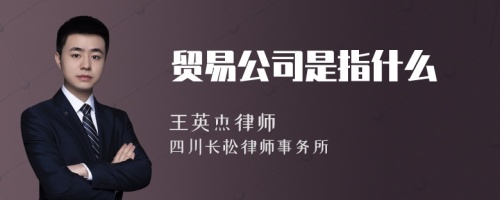 贸易公司是指什么