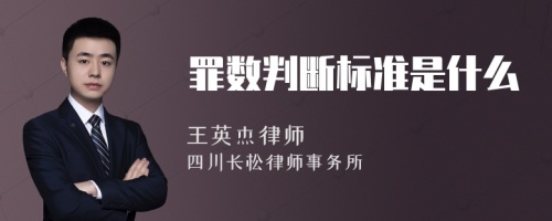 罪数判断标准是什么