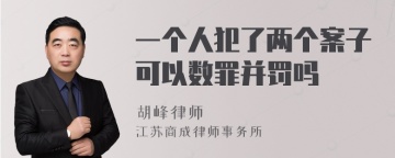 一个人犯了两个案子可以数罪并罚吗