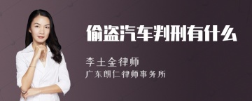 偷盗汽车判刑有什么