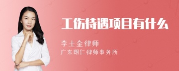 工伤待遇项目有什么