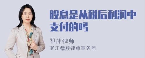 股息是从税后利润中支付的吗