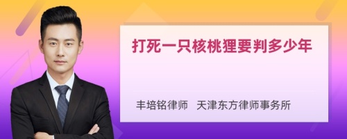 打死一只核桃狸要判多少年