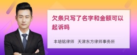 欠条只写了名字和金额可以起诉吗