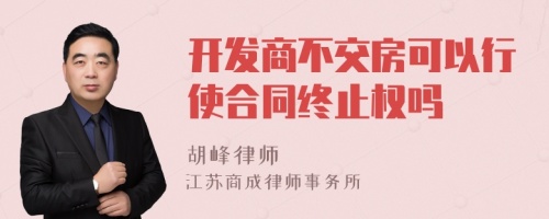 开发商不交房可以行使合同终止权吗