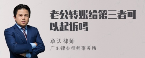 老公转账给第三者可以起诉吗