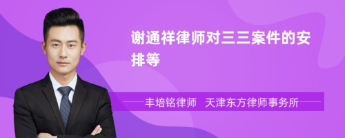 谢通祥律师对三三案件的安排等