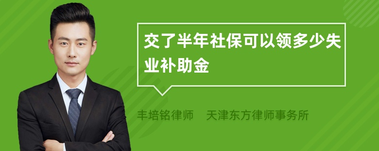 交了半年社保可以领多少失业补助金