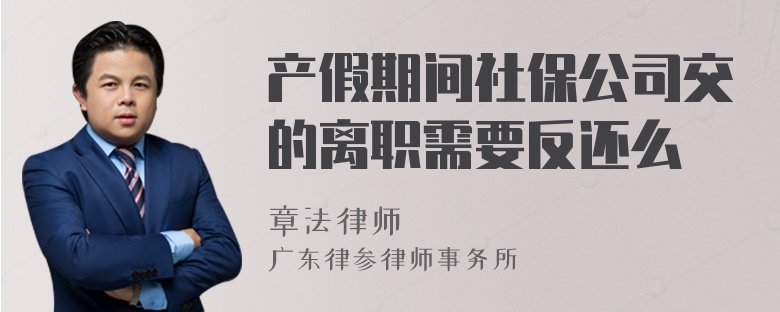 产假期间社保公司交的离职需要反还么