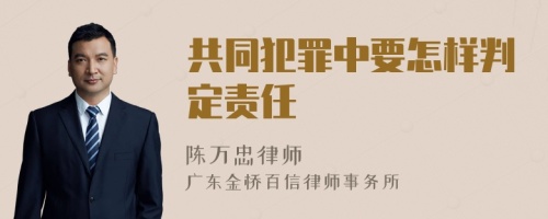 共同犯罪中要怎样判定责任