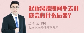 起诉离婚期间不去开庭会有什么后果?