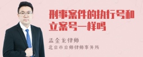 刑事案件的执行号和立案号一样吗