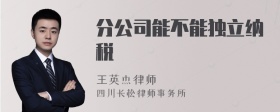 分公司能不能独立纳税