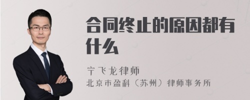 合同终止的原因都有什么