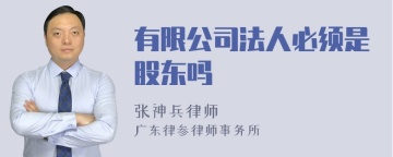 有限公司法人必须是股东吗