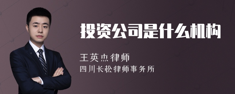 投资公司是什么机构