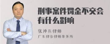 刑事案件罚金不交会有什么影响