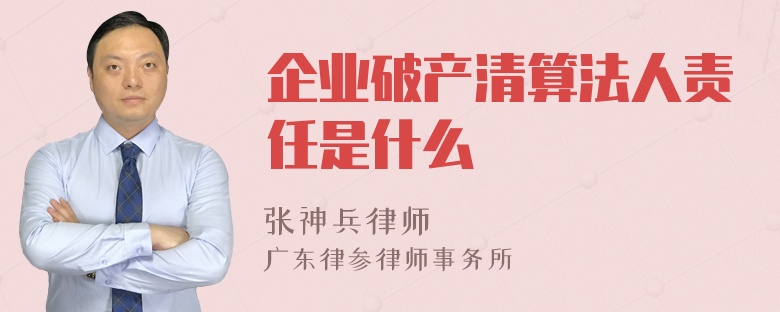 企业破产清算法人责任是什么