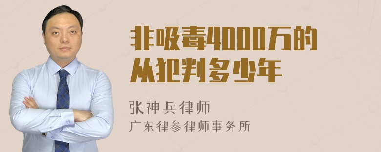 非吸毒4000万的从犯判多少年