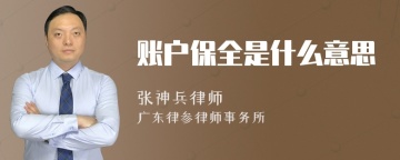 账户保全是什么意思