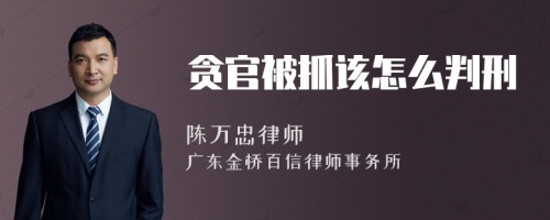 贪官被抓该怎么判刑