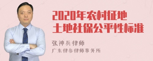 2020年农村征地土地社保公平性标准