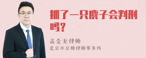 抓了一只麂子会判刑吗？