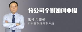 分公司个税如何申报