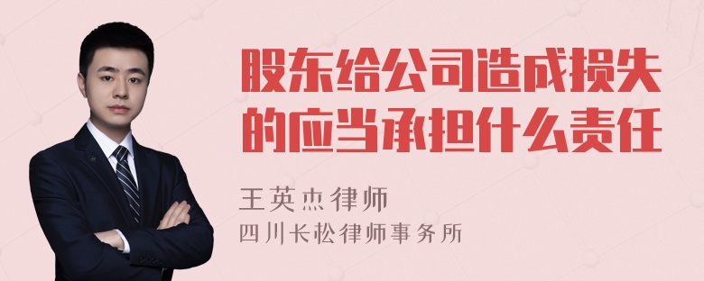 股东给公司造成损失的应当承担什么责任