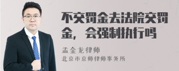 不交罚金去法院交罚金，会强制执行吗