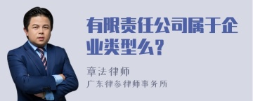 有限责任公司属于企业类型么？