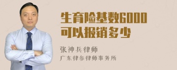 生育险基数6000可以报销多少